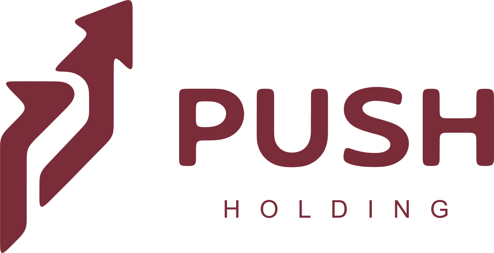 PUSH Holding